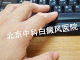 缲Ļ